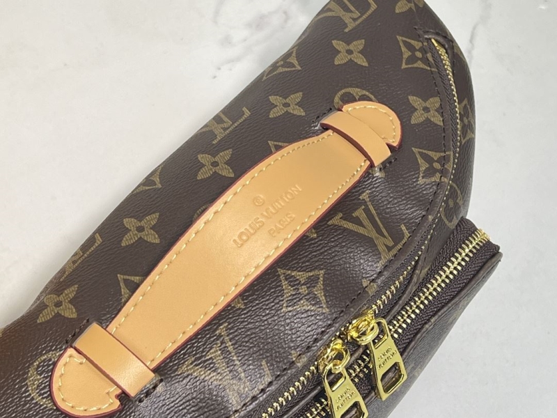 LV Waist & Chest Packs